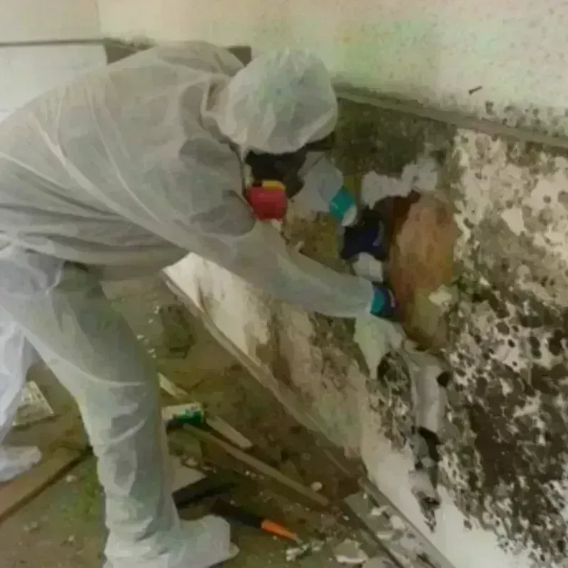 Mold Remediation and Removal in Garretson, SD