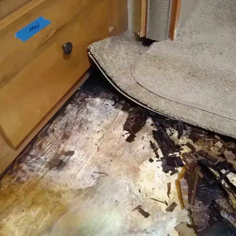 Wood Floor Water Damage in Garretson, SD